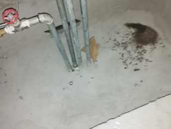 石林卫生间测漏水价格明细